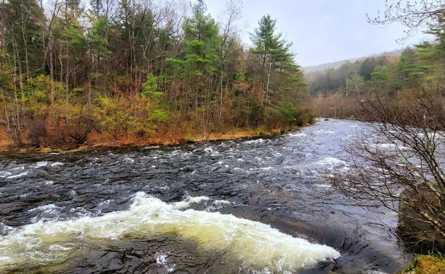C.M. Gardner State Park, Massachusetts, USA